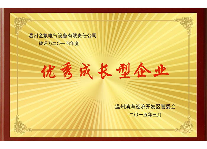 優(yōu)秀成長(zhǎng)型企業(yè)